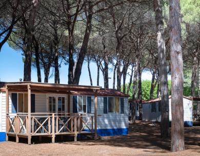 pinetasulmarecampingvillage en offer-for-easter-holidays-by-campsite-in-cesenatico-with-entertainment-and-shuttle-bus-to-the-centre 042