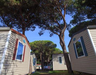 pinetasulmarecampingvillage en occasion-in-august-on-campsite-in-cesenatico-with-affordable-mobile-homes 040