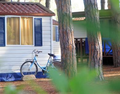 pinetasulmarecampingvillage en july-affordable-campsite-cesenatico-for-families-offer 039