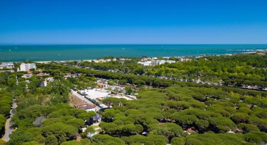 pinetasulmarecampingvillage en offer-for-the-weekend-of-immaculate-conception-in-cesenatico-on-campsite-near-the-christmas-markets 037