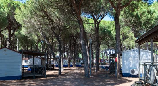 pinetasulmarecampingvillage en offer-for-nove-colli-in-mobile-home-with-parking-and-wi-fi-on-campsite-in-cesenatico 036