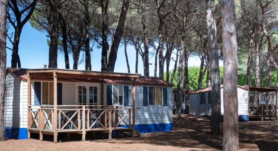 pinetasulmarecampingvillage en offer-autumn-weekend-in-cesenatico-at-campsite-with-pinewood-near-the-centre 036