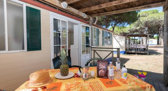 pinetasulmarecampingvillage en offer-weekend-april-25-cesenatico-in-camping-admist-sea-and-pinewood-with-mobile-homes-for-4-people 037