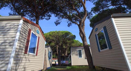 pinetasulmarecampingvillage en occasion-in-august-on-campsite-in-cesenatico-with-affordable-mobile-homes 035