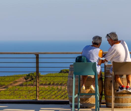 tenutadelleripalte it vacanze-sull-isola-d-elba-con-degustazione-vini 026