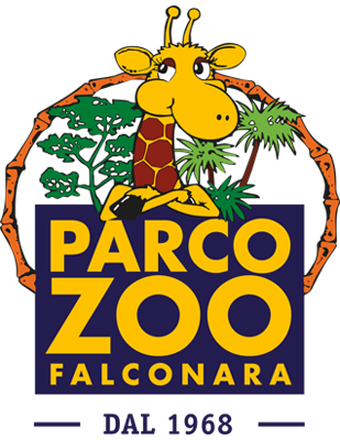 ZOO FALCONARA PARK + CAMPINGDORF MISANO AM MEER