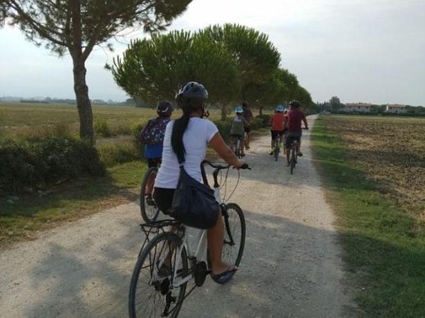 campingtoscanabella it super-offerta-di-fine-luglio-in-piazzola-in-toscana 013