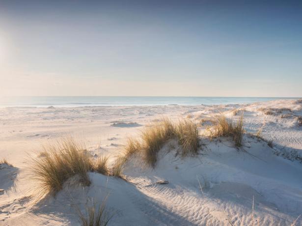 campingtoscanabella nl septemberaanbieding-vakanties-voor-gezinnen-in-stacaravans-aan-zee-in-toscane 009
