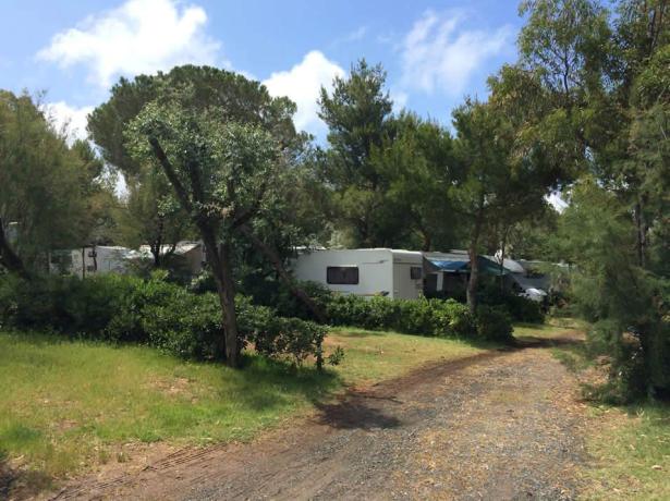 campingtoscanabella it super-offerta-di-fine-luglio-in-piazzola-in-toscana 011