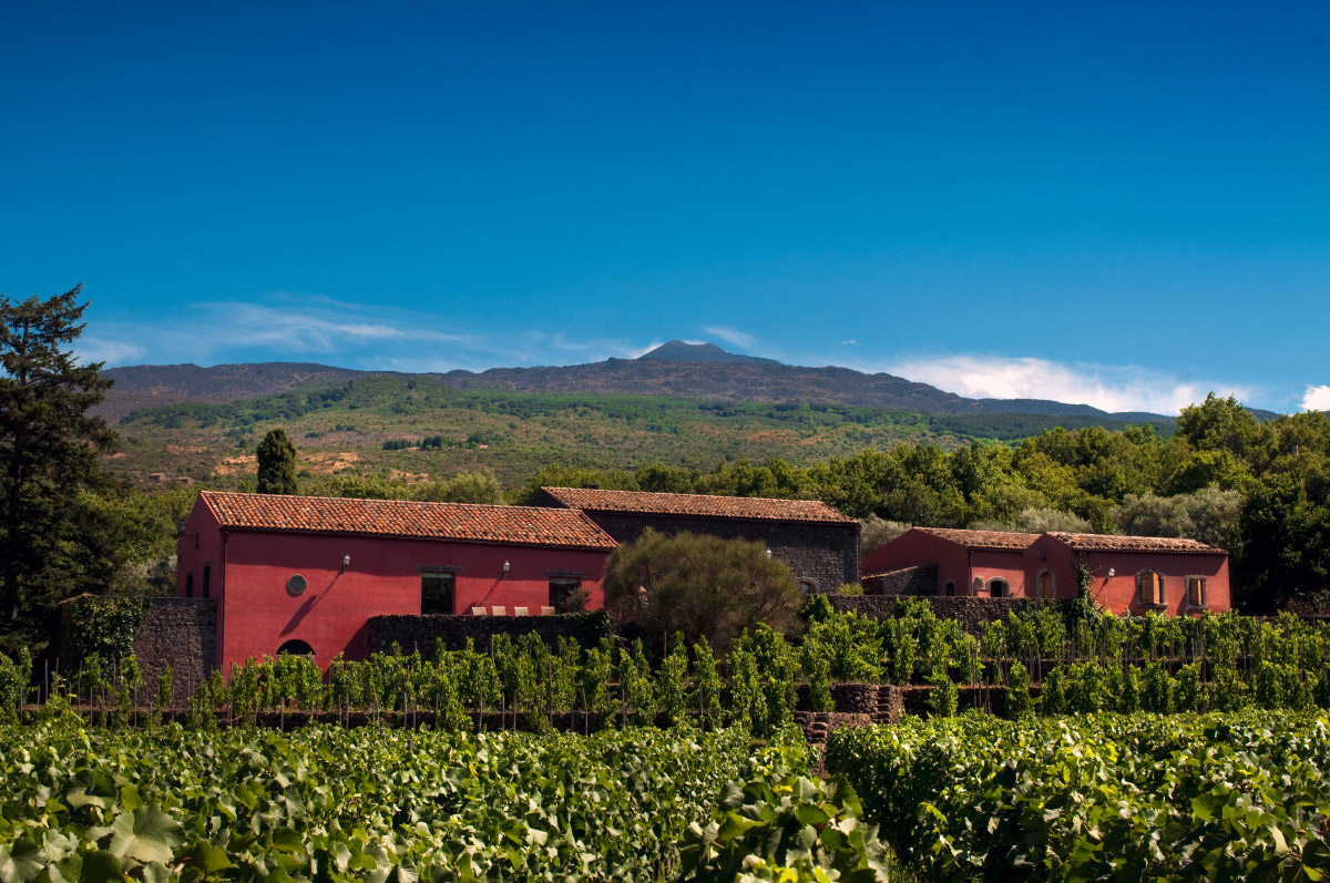 winery tour taormina