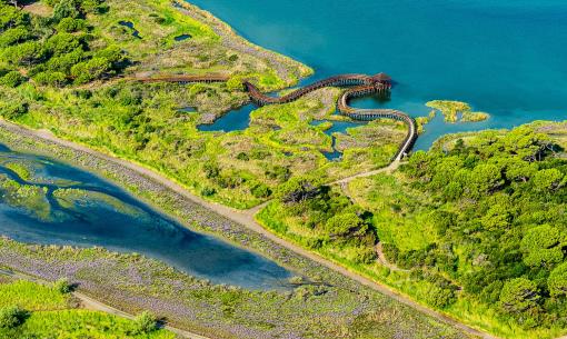 Vista aerea di una passerella su un lago circondato da vegetazione.