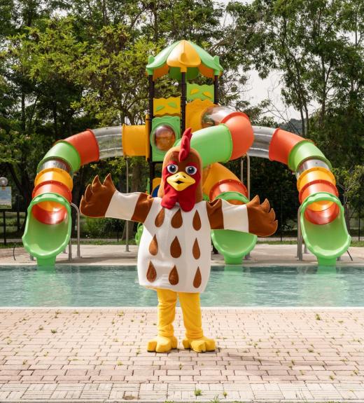 Mascotte di gallo davanti a scivoli colorati in un parco acquatico.