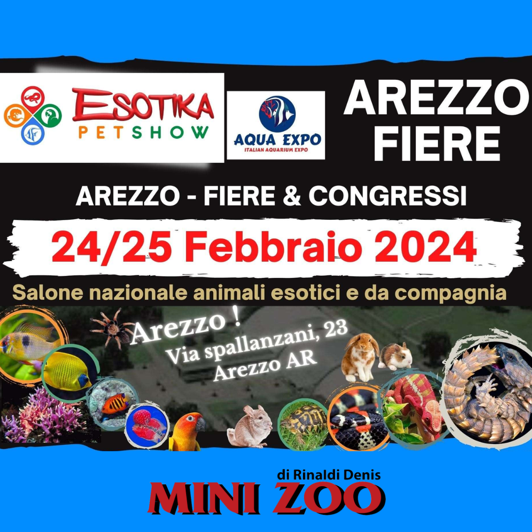 ESOTIKA PET SHOW AREZZO 24 25 FEBBRAIO 2024