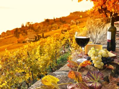 sangregorioresidencehotel it hotel-pienza-convenzionato-con-azienda-agricola-per-trekking-e-degustazioni 010