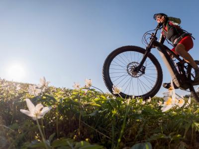 sangregorioresidencehotel it offerta-giugno-hotel-pienza-con-noleggio-e-bike 010