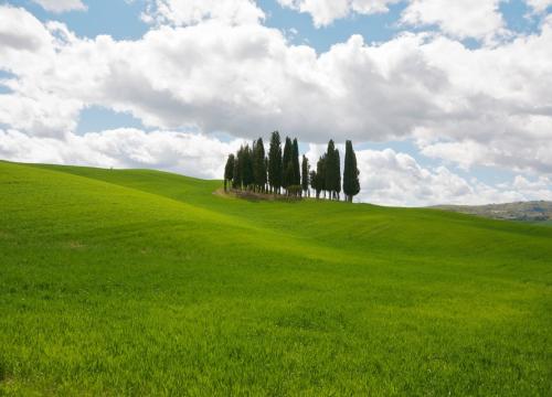 hotelsangregorio de de-paket-e-bike-tour-mit-weinprobe-hotel-pienza-toskana 008