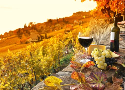 sangregorioresidencehotel it hotel-pienza-convenzionato-con-azienda-agricola-per-trekking-e-degustazioni 005