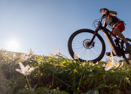 sangregorioresidencehotel it offerta-giugno-hotel-pienza-con-noleggio-e-bike 005
