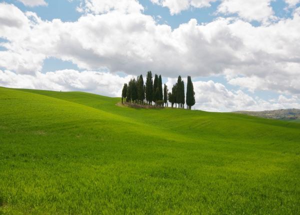 sangregorioresidencehotel it hotel-pienza-per-tour-fotografico-cipressi-della-toscana 004