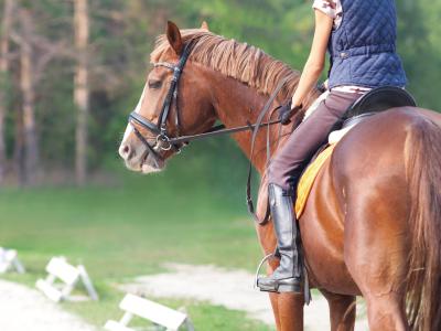 fortunaresort en horse-riding-experience-in-chianciano-terme 017
