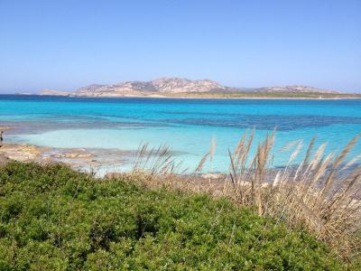 hotelcalarosa en special-offer-end-of-august-in-hotel-in-sardinia 023