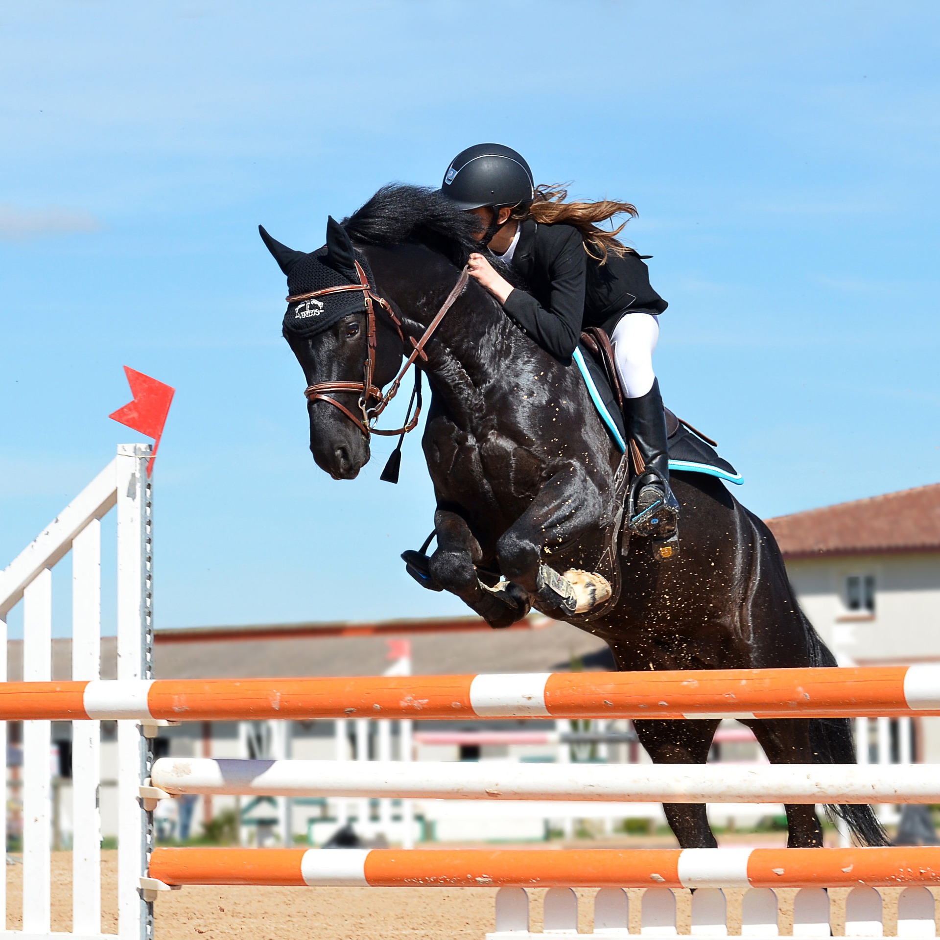 Arezzo Equestrian Centre Tuscany Tour 2023