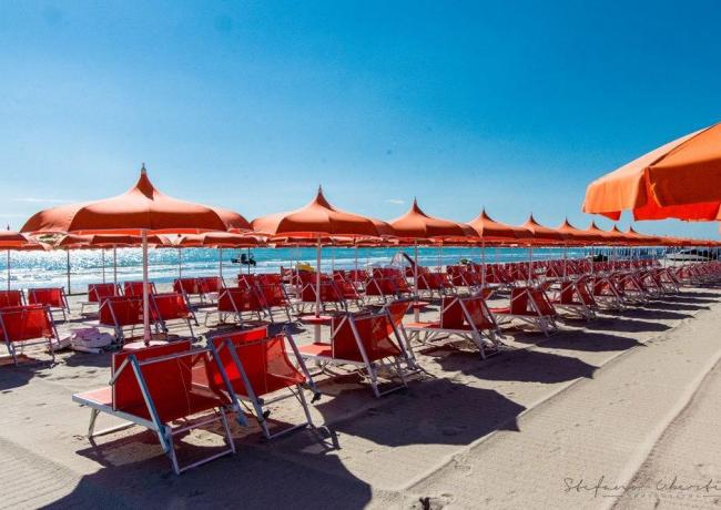 hotelpalacetortoreto en en-september-offer-at-the-sea-in-tortoreto-lido-in-a-3-star-hotel-near-the-beach-with-all-inclusive-free-of-charge 023