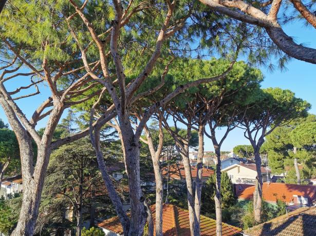 hotelbelliniriccione it offerta-ponte-2-giugno-a-riccione-in-hotel-vicino-al-mare-con-parcheggio 017