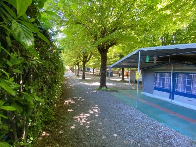 campingrivablu it offerta-vacanze-sul-lago-di-garda-in-camping-village-con-spiaggia 018