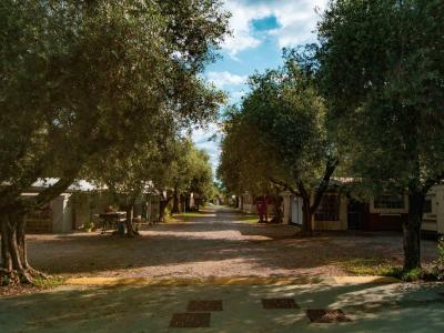 campingrivablu it promozione-1-notte-gratis-in-camping-village-sul-lago-di-garda 016