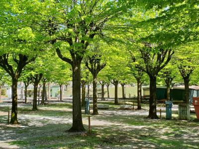 campingrivablu it promozione-1-notte-gratis-in-camping-village-sul-lago-di-garda 015