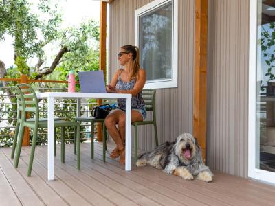 campingrivablu it offerta-in-casa-mobile-pet-friendly-sul-lago-di-garda 018