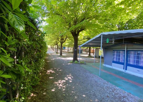 campingrivablu it offerta-vacanze-sul-lago-di-garda-in-camping-village-con-spiaggia 013