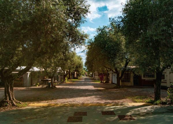 campingrivablu it promozione-1-notte-gratis-in-camping-village-sul-lago-di-garda 012