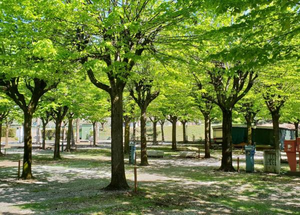 campingrivablu it promozione-1-notte-gratis-in-camping-village-sul-lago-di-garda 011