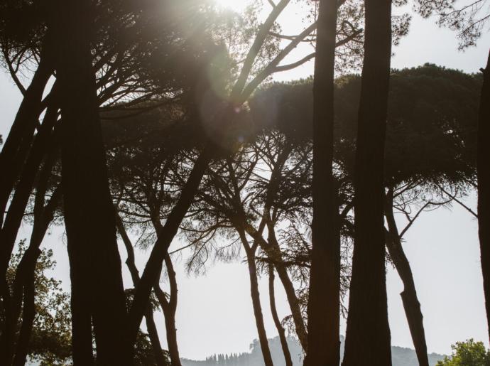 palazzobelvedere it risveglio-con-yoga-e-spa-a-montecatini-terme 004
