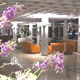 Palace Hotel