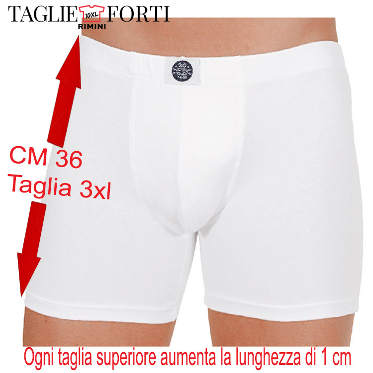 20 nodi. boxer intimo cotone elastico