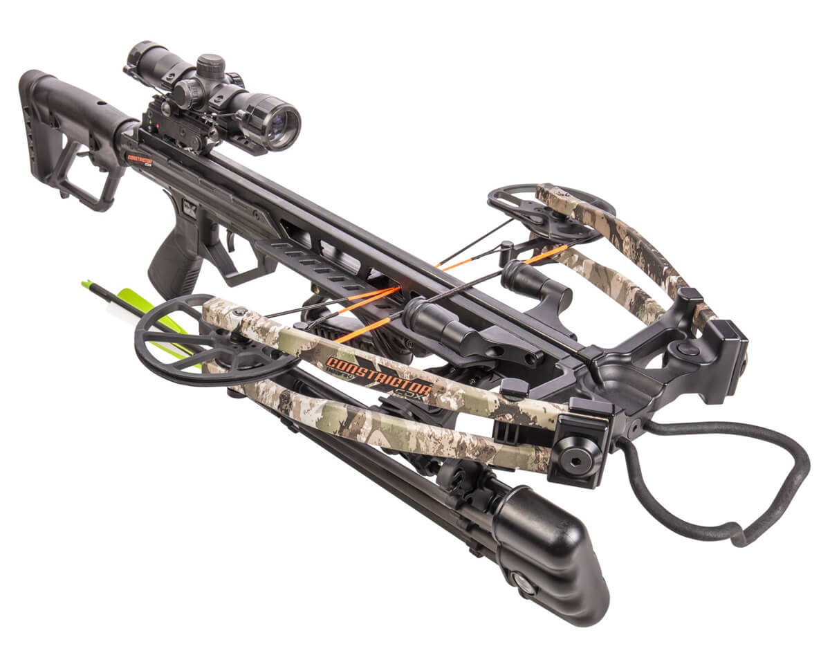 bear constrictor cdx bear constrictor cdx
