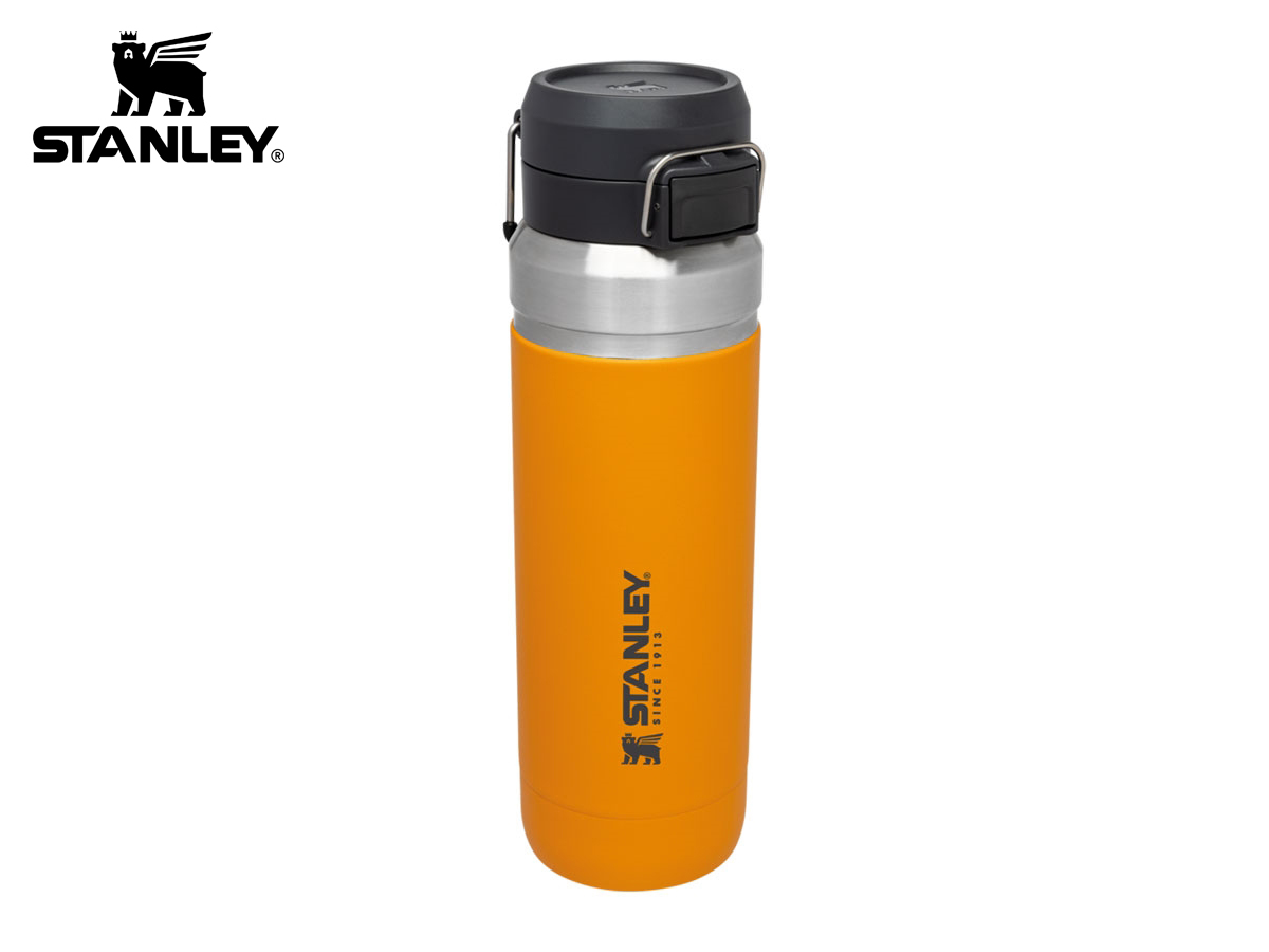 Stanley 24oz Go Stainless Steel Quick Flip Water Bottle : Target