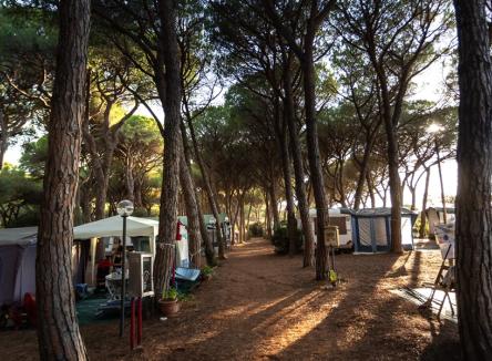 July offer on pitch in Camping Village in Tuscany