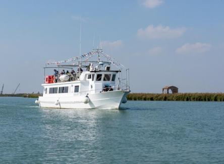 Holiday offer with boat trip along the Po Delta