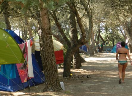 Camping Low Cost in Puglia