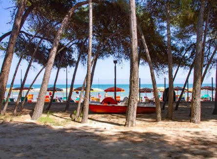 July week offer in Abruzzo at a special price in a camping village