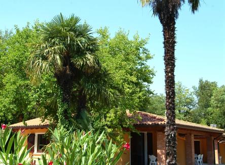 Offer 7 nights for the price of 6 in bungalows in a camping on Lake Garda