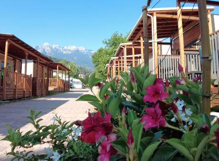 Juni-Special &ndash; Entspannender Aufenthalt in einem Mobilheim am See im Trentino