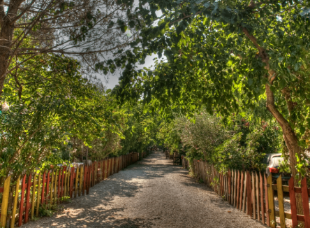 Offerta Settimana di Giugno 