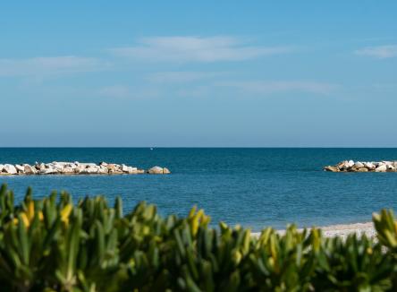 Besonderer Juni in Fano