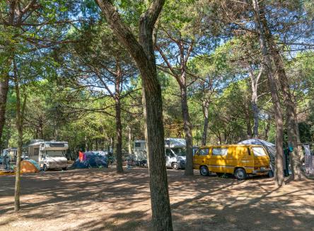 Neue Lodges Angebot 7=6