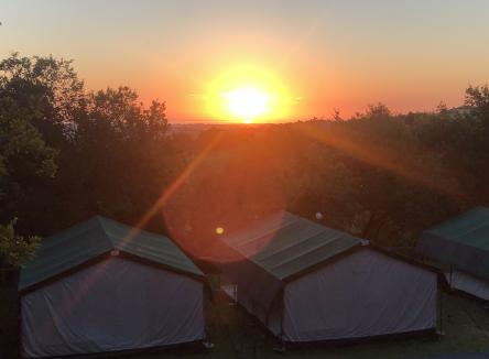 Glamping in Safari tents, special offer June